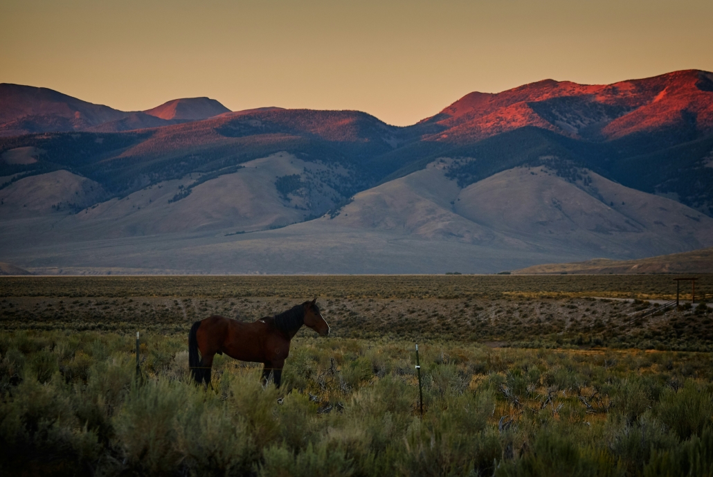 Idaho Ranch Land